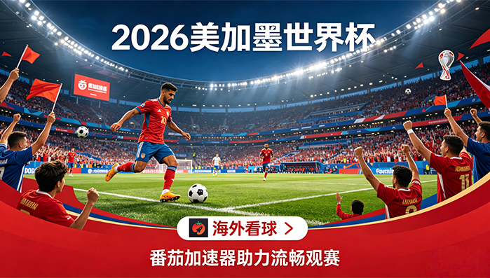 在韩国看世界杯无法播放教程