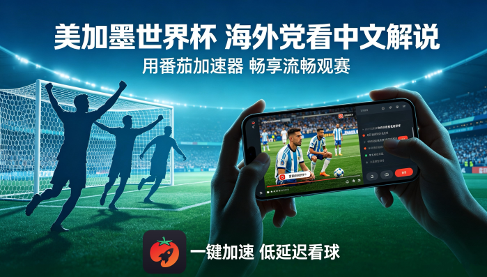 在新加坡看世界杯中文直播海外无法观看教程