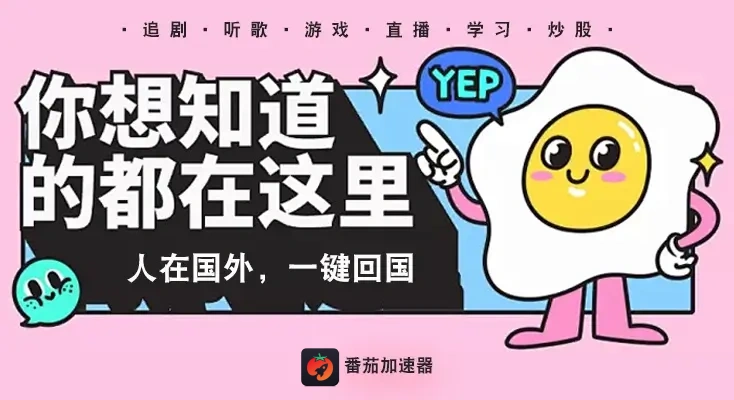 在国外怎么开哔哩哔哩vip教程